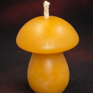 Mini Mushroom Candle